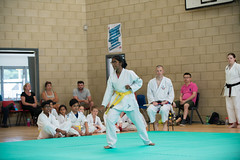 Karate Summer 18-22 • <a style="font-size:0.8em;" href="http://www.flickr.com/photos/143593165@N07/41582276430/" target="_blank">View on Flickr</a>