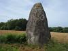 Le menhir de Camblot prs de Mnac - Morbihan - Juin 2018 -