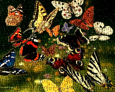 'Butterflies in Flight' jigsaw puzzle