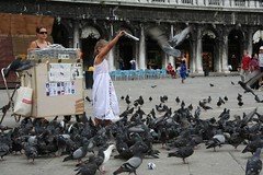 Feeding Pigeons in Venice