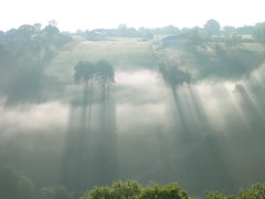 brume (St FELIX, FR46)