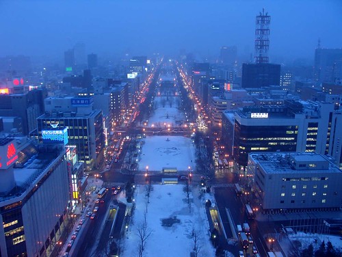 Sapporo as seen from the TV Tower por P F C.
