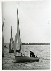 Anglų lietuvių žodynas. Žodis sailing-race reiškia buriavimas-lenktynes lietuviškai.