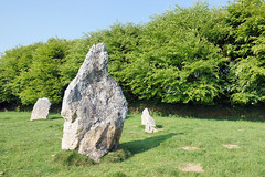 2018-05-18 06-02 England 480 Duloe Stone Circle