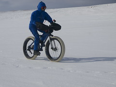 Cycling beside polar bear tracks - a mother and cub