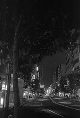 Shinjuku Night
