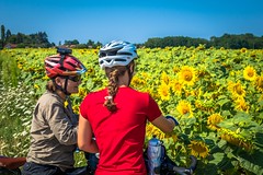 Amanda & Stephanie taking a closer look at the sunflower field.