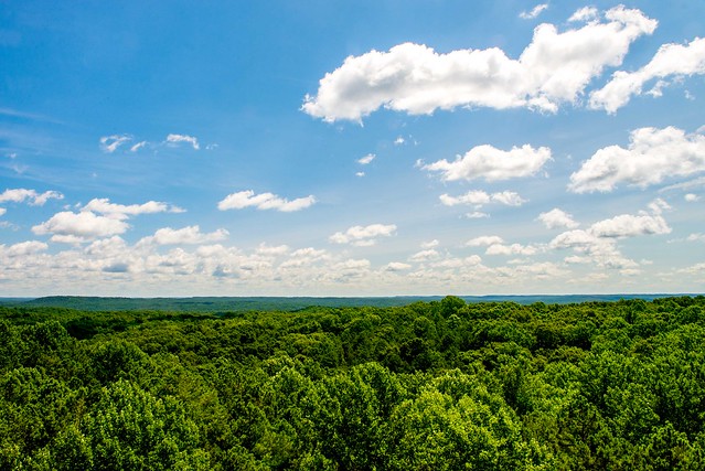 Hoosier National Forest - Hickory Ridge Lookout Tower - July 27, 2018