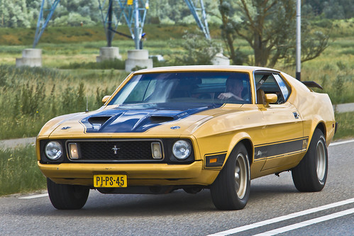 Ford Mustang Mach 1 1973 (3089)