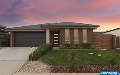 4 Lacewing Street, Wright ACT