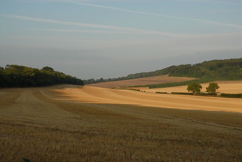 Sunlight on fields - Stoughton