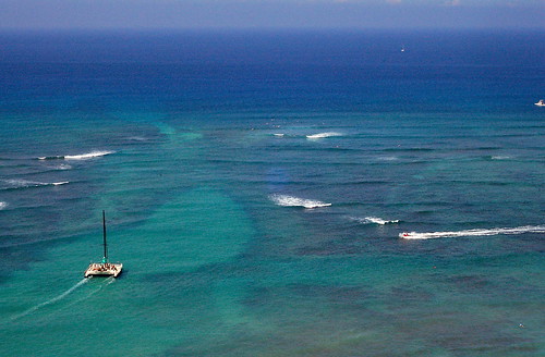 Waikiki Reef