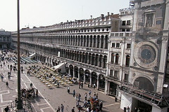 The Piazza