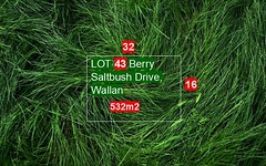 43 Berry Saltbush Drive, Wallan VIC