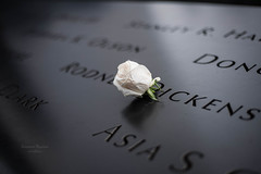 National September 11 Memorial|New York|USA