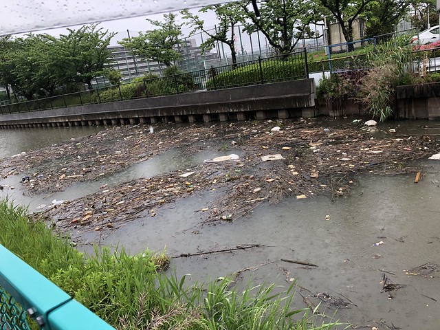隣の川が汚すぎる、誰も市役所に掃除作業を...