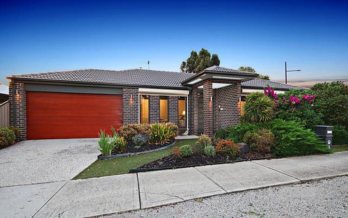 5 Wills Tce, Burnside Heights VIC 3023