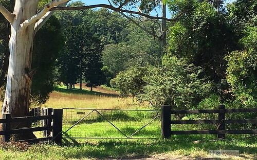 Lot 21 Timmsvale Road, Ulong NSW