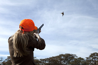 Texas Wingshooting & Driven Hunting 16