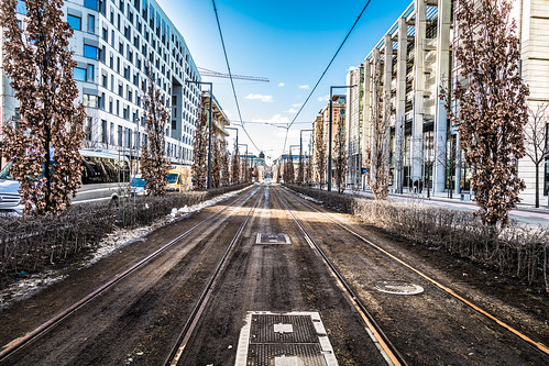 Empty tramway tracks