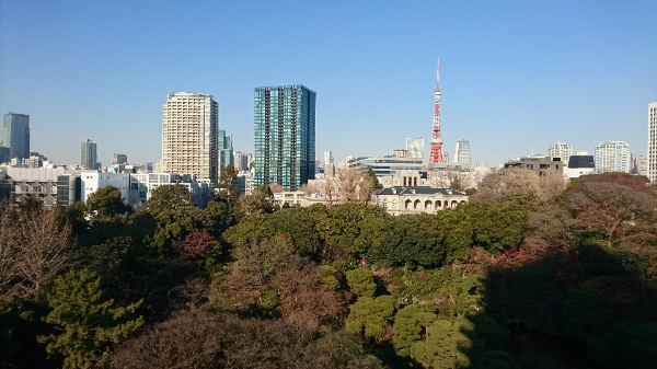 緑と東京タワー、都心ビューに癒されますね...