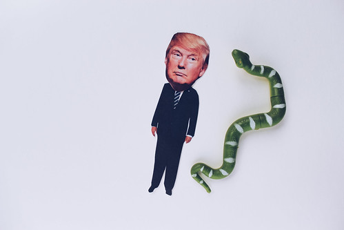 trump snake, From FlickrPhotos