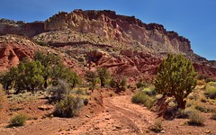 A Roadside Snapshot in Capitol Reef National Park
