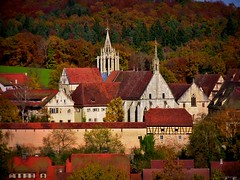 GERMANY, Rund um das Kloster Bebenhausen vor dem Herbstwald, 76241/10165