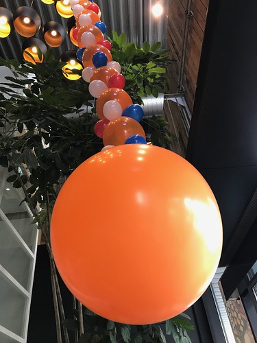 Ballonslinger Koningsdag Watertuin Spijkenisse