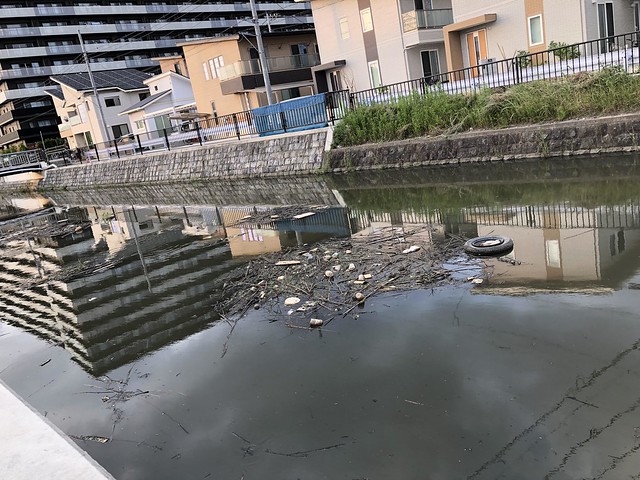 川の掃除作業は一回でも見てなかった、市役...