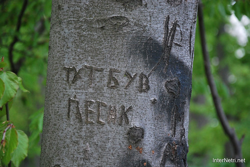 Ботанічний сад імені Гришка Буковий гай InterNetri  Ukraine 107