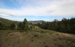 71 Snowy View Heights, Huonville TAS