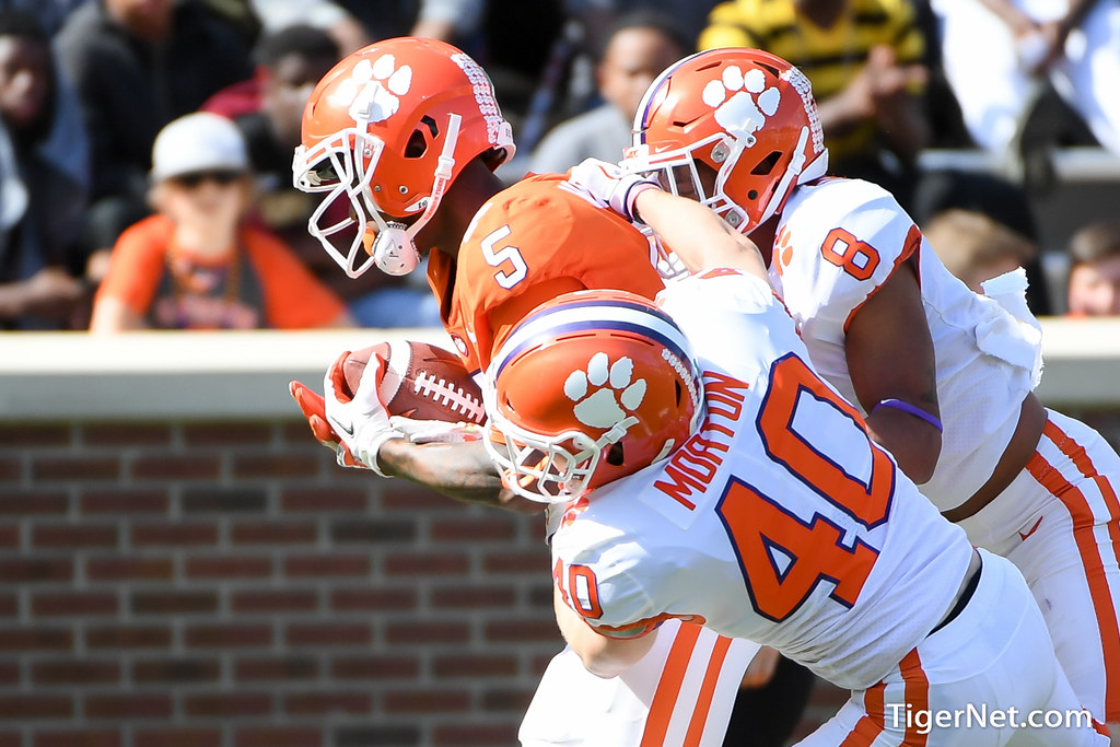 Clemson Football Photo of Tee Higgins and springgame