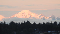 Mt Baker from New West