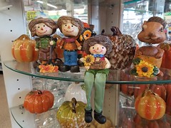 7-8-2018: Never too early to start decorating for Thanksgiving. Woburn, MA