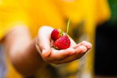 2018-218 Strawberries