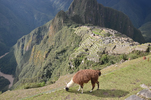 Wonders of Peru, April 2018