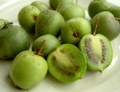 Baby kiwifruit