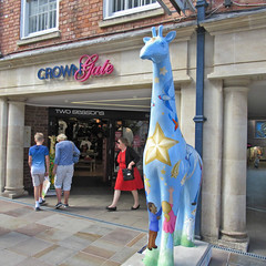 Giraffes in Worcester