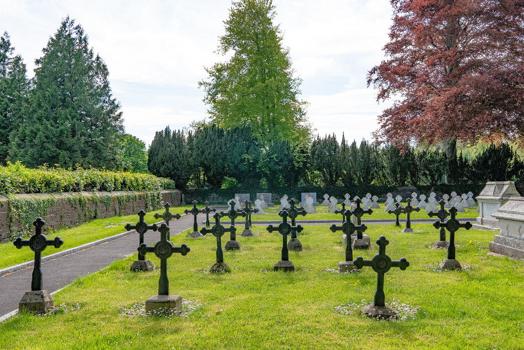 ST. PATRICK'S COLLEGE CEMETERY IN MAYNOOTH [SONY A7RIII IN CROP SENSOR MODE]-139544