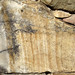 "Liesegang banding" in quartzose sandstone (Upper Paleozoic; quarry near Crossville, Tennessee, USA) 1