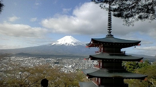 今日は富士山がよく見えましたよ？私の股間...