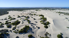 Dunes near Horrocks_0403
