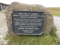 Blea Moor Common, Ribblehead Viaduct