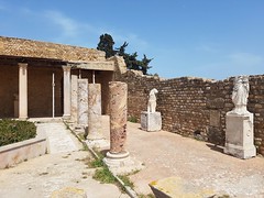 Karthago, Römische Villen