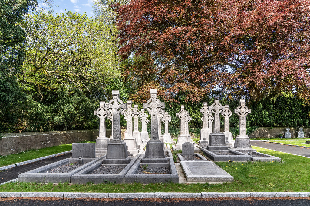 ST. PATRICK'S COLLEGE CEMETERY IN MAYNOOTH [SONY A7RIII IN FULL-FRAME MODE]-139568