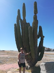 Angela posing with a cactus