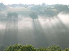 brume (St FELIX, FR46)