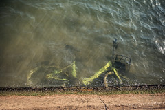 Les quais ensoleillés.