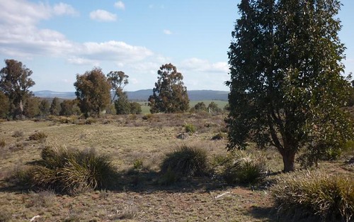 Lots 2 & 3, Shannons Flat Road, Cooma NSW 2630
